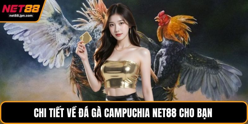 Chi tiết về đá gà Campuchia NET88 cho bạn 