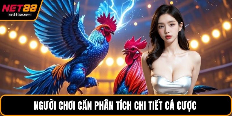 Người chơi cần phân tích chi tiết cá cược 