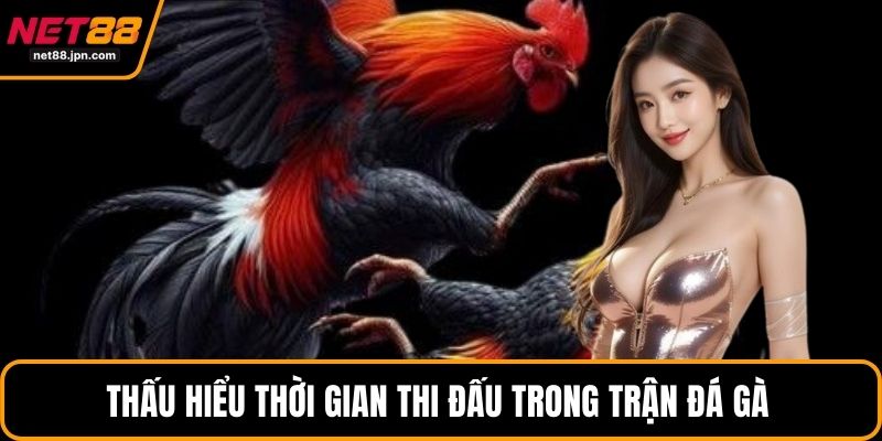 Thấu hiểu thời gian thi đấu trong trận đá gà 