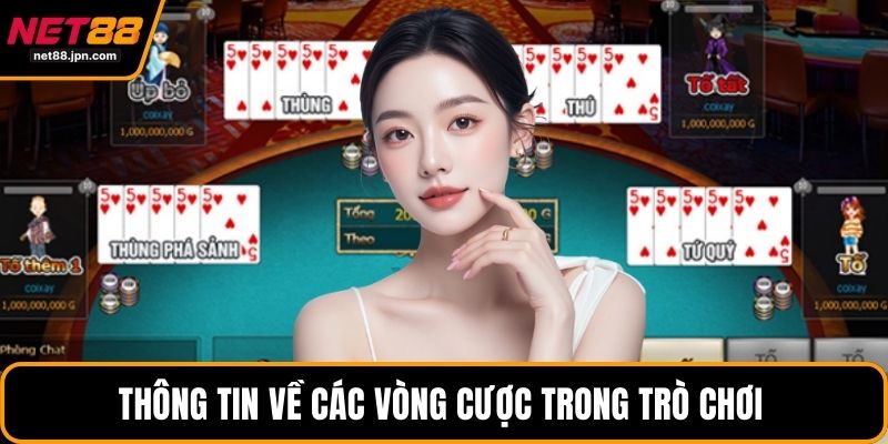 Thông tin về các vòng cược trong trò chơi 