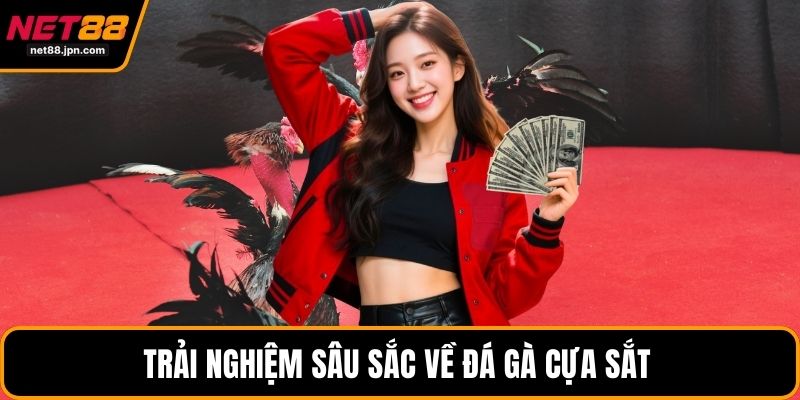 Trải nghiệm sâu sắc về đá gà cựa sắt 